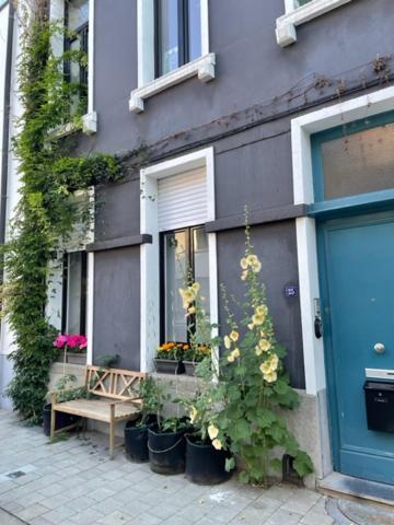 Studio Dageraad Antverpy Exteriér fotografie